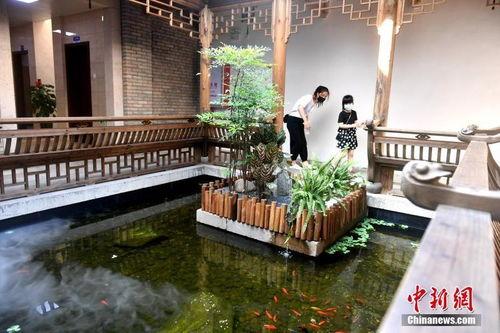 最坑的网红打卡点,别让网红效应蒙蔽了双眼