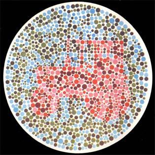 台湾色盲的明星,揭秘他们的生活与挑战