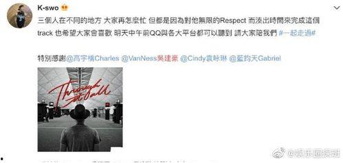 二哥爆料视频大全,揭秘幕后真相，带你领略真实世界