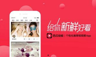 头条录制的西瓜视频,揭秘短视频背后的精彩故事