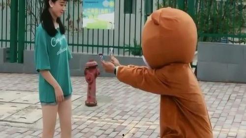 给网红熊送棒棒糖,棒棒糖传递爱心与欢乐