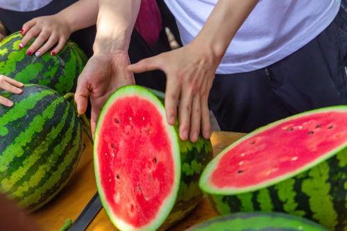 湖北学子吃瓜现场,校园美食狂欢盛宴