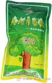 鹤壁头条大树,大树见证历史变迁，古树名木讲述城市故事