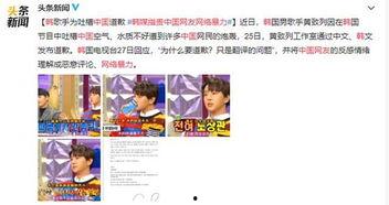 喜欢韩国明星被抨击,追星之路的争议与反思