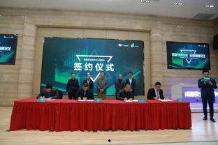 成都启明星辰,引领网络安全创新，守护数字世界安全防线