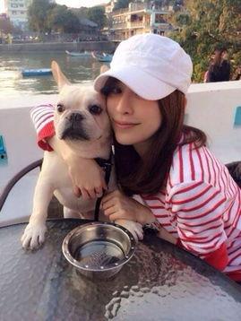 明星抱狗,共度美好时光