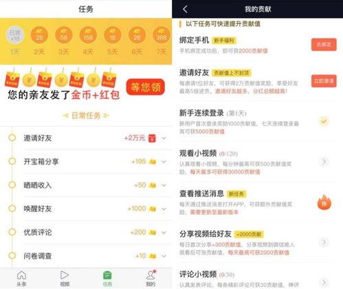 趣头条最长视频,带你领略精彩瞬间