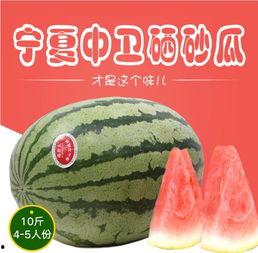 带你吃瓜奇葩山寨品,带你吃瓜，那些奇葩的山寨品大揭秘！