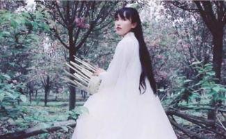 网红李子柒的粉丝