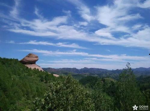 广东承德今日头条,聚焦本土新鲜事，洞察生活点滴变化
