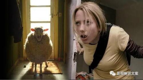 电影疯羊在线观看,一场网络狂欢的奇幻之旅