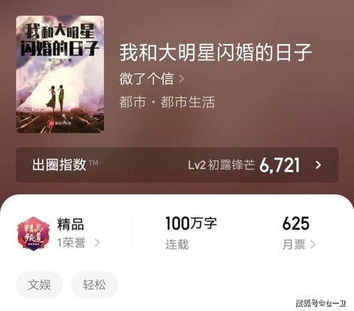 小说我和大明星闪婚,我与明星的甜蜜邂逅