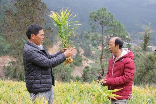 郑周友 头条,揭秘郑周友的传奇人生与辉煌成就