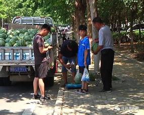 生活中怎么看待群众吃瓜,揭秘网络时代的围观文化