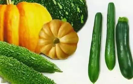 带你吃瓜传家宝,揭秘传家宝背后的传奇故事