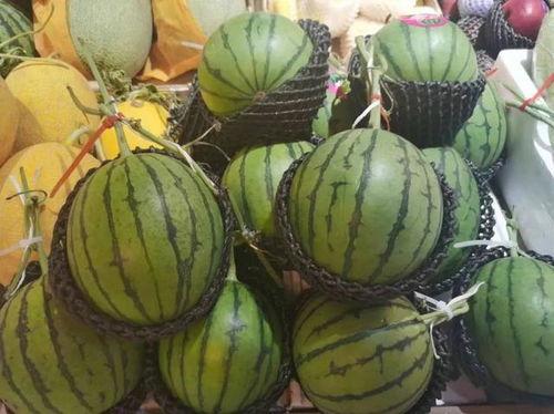 中二吃瓜,揭秘网络迷因背后的狂欢与反思