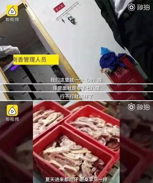 外卖员爆料排骨视频在线观看,独家直播排骨制作全过程，让你在家也能轻松学会！