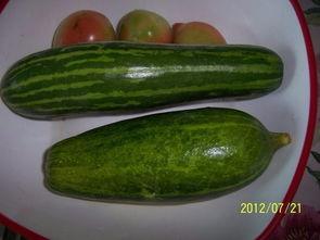 江西理工吃瓜,揭秘校园热点事件背后的真相