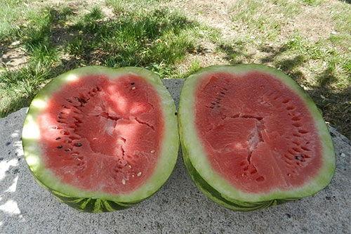 梦见买才瓜吃,揭秘买才瓜吃的神秘寓意