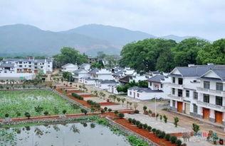 枣庄亭子坝镇新闻头条,聚焦乡村振兴新篇章