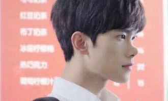 圆鼻明星,闪耀舞台的璀璨之星