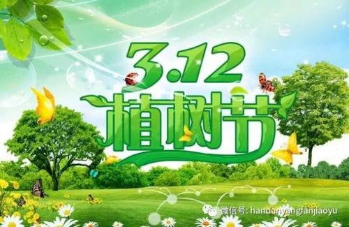 植树环保微头条,共筑美好家园——植树环保微头条活动纪实”