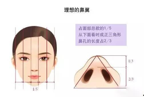 鼻翼不对称的明星,揭秘他们独特的美学魅力