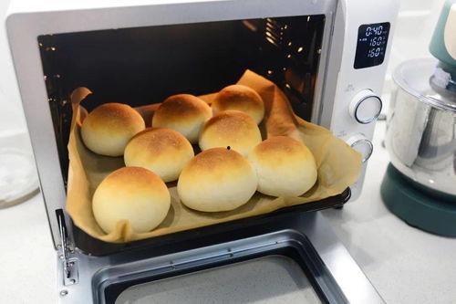 韩国网红大叔吃面包,美味与幽默的完美融合