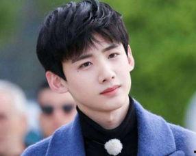 胡姓小眼男明星