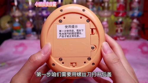 小熊熊网红,网络红人的崛起与影响力