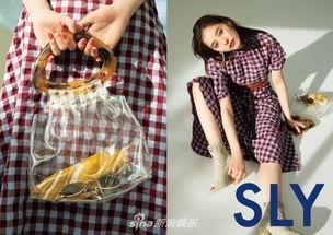 木火组合明星,木火组合明星闪耀娱乐圈