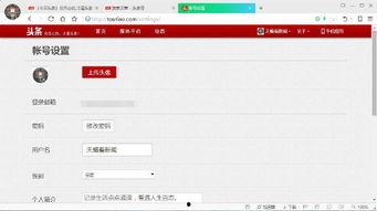 头条网名怎么设置不规范,如何巧妙规避风险