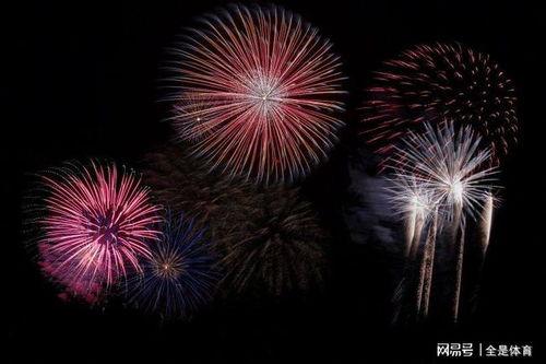 网红球型烟花