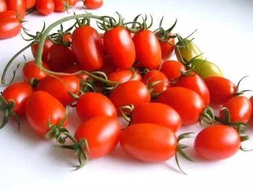 吃瓜天津网红李韵婷,吃瓜界的风云人物”